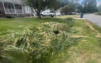 Photo of Shirley S.'s yard after getting landscaping in Quantico, VA