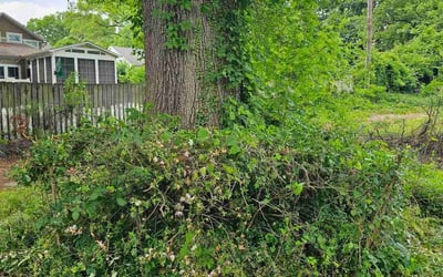 Photo of Matthew M.'s yard after getting landscaping in Faith, NC