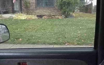 Photo of Keith H.'s yard after getting landscaping in Rockbridge, OH