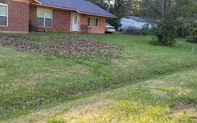 Photo of Patricia J.'s yard after getting landscaping in Shreveport, LA