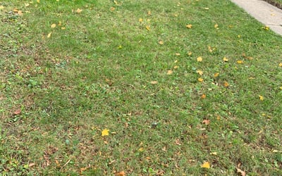 Photo of Lynn P.'s yard after getting landscaping in Muskego, WI