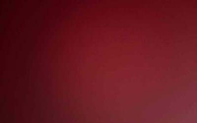 Photo of Leo S.'s yard after getting tree care in Mount Pleasant, SC