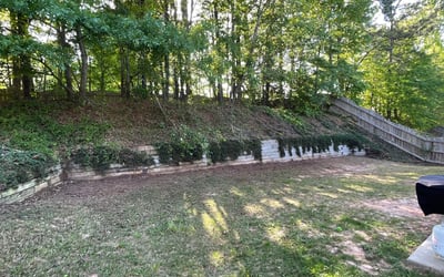 Photo of David A.'s yard after getting landscaping in Sunny Side, GA