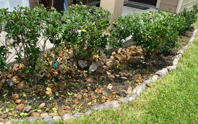 Photo of Shawn G.'s yard after getting landscaping in Waller, TX