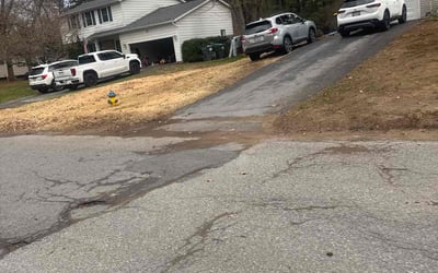 Photo of Danielle M.'s yard after getting lawn care in Saratoga Springs, NY
