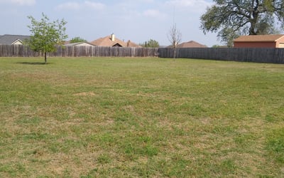 Photo of Jennifer W.'s yard after getting landscaping in Elmendorf, TX