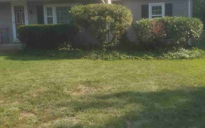 Photo of Bryan B.'s yard after getting landscaping in West Chester, PA