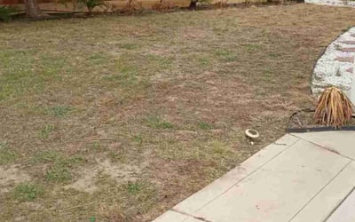 Photo of Tiffany T.'s yard after getting tree care in Redwood City, CA