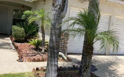 Photo of Denise G.'s yard after getting landscaping in Twentynine Palms, CA