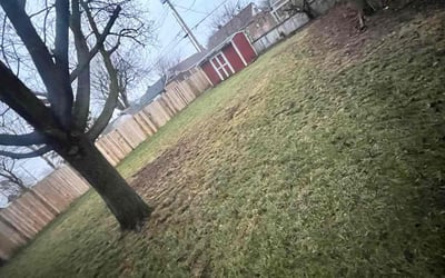 Photo of Diane D.'s yard after getting landscaping in Brookville, OH
