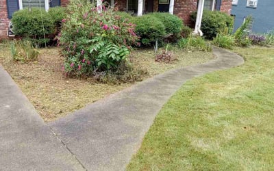 Photo of Nadege L.'s yard after getting tree care in Decatur, GA