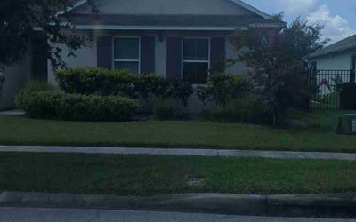 Photo of Jannette G.'s yard after getting landscaping in Orlando, FL