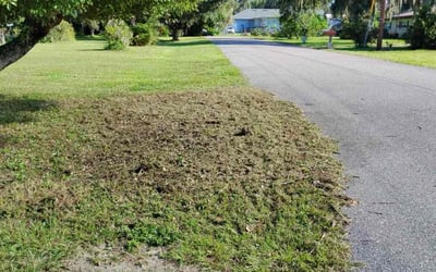 Photo of Jonathan w.'s yard after getting landscaping in Alturas, FL