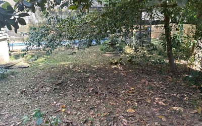 Photo of Wendy T.'s yard after getting landscaping in Havana, FL