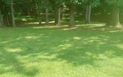 Photo of Jim_Carla A.'s yard after getting landscaping in Clinton, MD