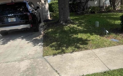 Photo of Ray R.'s yard after getting landscaping in Nokomis, FL
