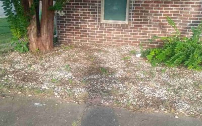 Photo of Chris W.'s yard after getting landscaping in North Little Rock, AR