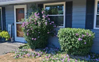 Photo of Jack P.'s yard after getting tree care in Veradale, WA