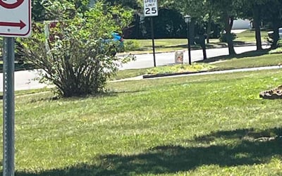 Photo of Jon T.'s yard after getting tree care in Orient, OH