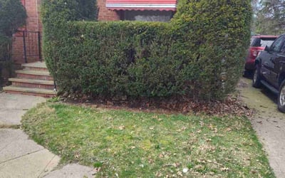 Photo of Chandra W.'s yard after getting landscaping in Brecksville, OH