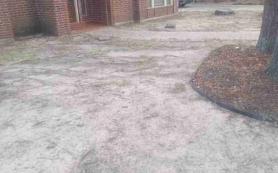 Photo of Jennifer S.'s yard after getting landscaping in Houston, TX
