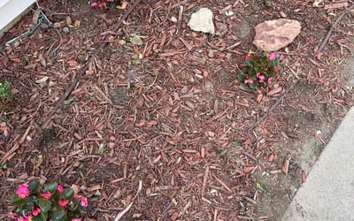 Photo of Garrett M.'s yard after getting landscaping in Goddard, KS