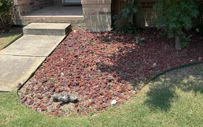 Photo of Melissa T.'s yard after getting landscaping in Denton, TX