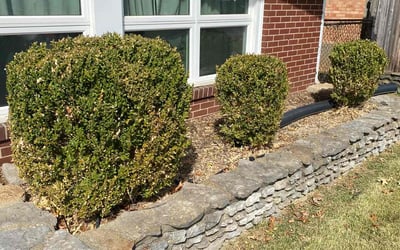 Photo of Josh W.'s yard after getting landscaping in Corydon, IN