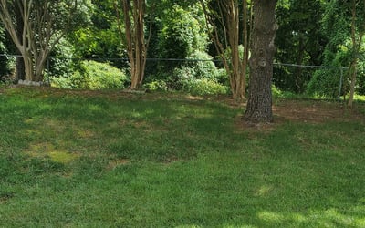 Photo of Jim_Carla A.'s yard after getting tree care in Beltsville, MD