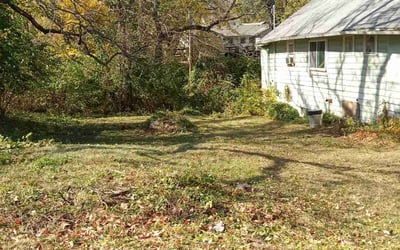 Photo of Michael B.'s yard after getting landscaping in Lawson, MO