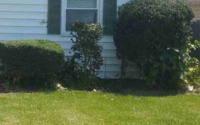 Photo of Shannon F.'s yard after getting landscaping in Gwynn, VA