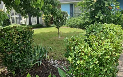 Photo of Sherelle A.'s yard after getting landscaping in Montgomery, AL