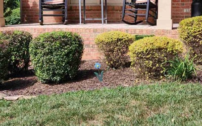 Photo of Jack E.'s yard after getting landscaping in Davidson, NC