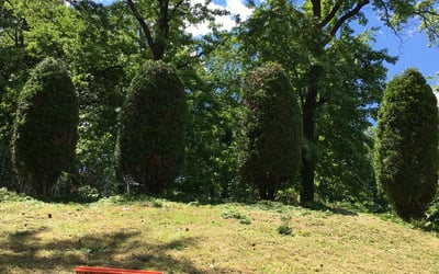 Photo of Stephanie G.'s yard after getting landscaping in Dunkirk, MD