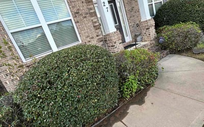 Photo of Steven T.'s yard after getting landscaping in Blythewood, SC