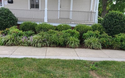 Photo of Mark K.'s yard after getting landscaping in Sumerduck, VA