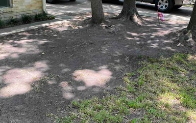 Photo of Michael W.'s yard after getting landscaping in Beasley, TX