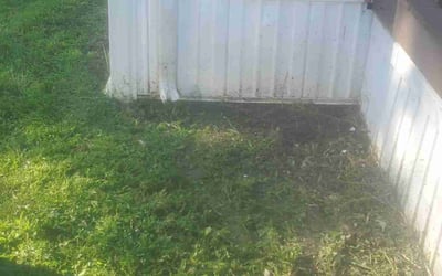 Photo of Christine S.'s yard after getting landscaping in New Palestine, IN
