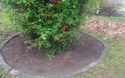 Photo of Danielle W.'s yard after getting landscaping in Cape May, NJ