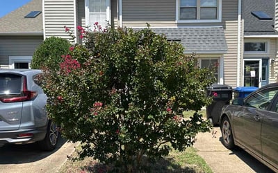 Photo of Rhonda Gale T.'s yard after getting tree care in Moyock, NC