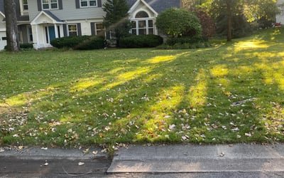 Photo of Patrick D.'s yard after getting landscaping in Zimmerman, MN