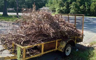 Photo of Chris M.'s yard after getting landscaping in Jay, FL