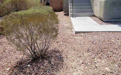 Photo of Jackie W.'s yard after getting landscaping in Mesquite, NV
