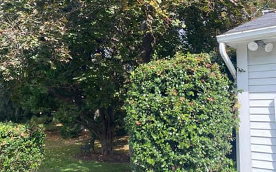 Photo of Greg S.'s yard after getting landscaping in Lothian, MD