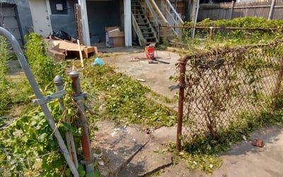 Photo of Mary F.'s yard after getting landscaping in Manchester, MD