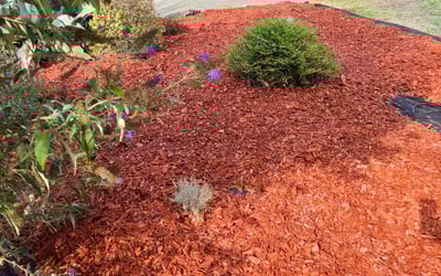 Photo of Julia M.'s yard after getting landscaping in Diamond Springs, CA