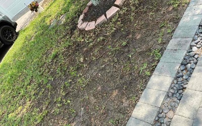 Photo of Andrew D.'s yard after getting landscaping in Jacksonville, FL
