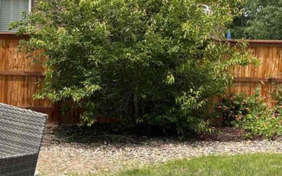 Photo of Monique J.'s yard after getting landscaping in Littleton, CO