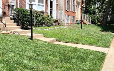 Photo of Emmett W.'s yard after getting landscaping in Huntingtown, MD