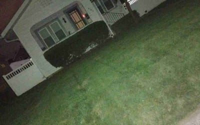 Photo of Melissa R.'s yard after getting landscaping in Derby, OH